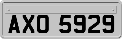 AXO5929