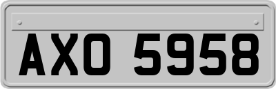 AXO5958