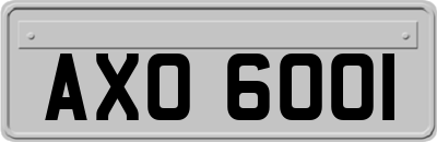 AXO6001