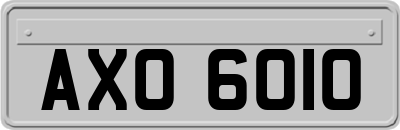 AXO6010