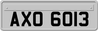 AXO6013