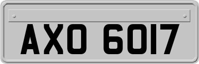 AXO6017