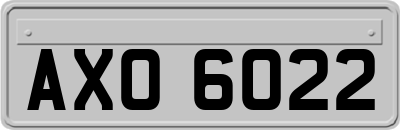 AXO6022