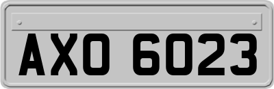 AXO6023