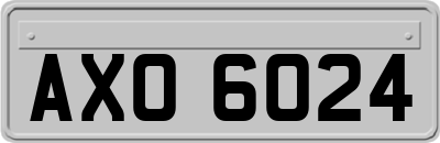 AXO6024