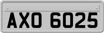 AXO6025