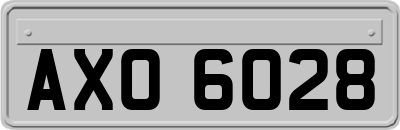 AXO6028