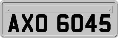 AXO6045