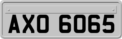 AXO6065