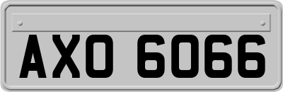 AXO6066