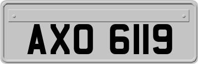 AXO6119