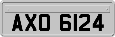AXO6124