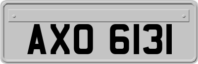 AXO6131