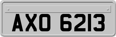 AXO6213