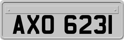 AXO6231
