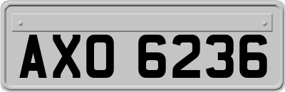 AXO6236