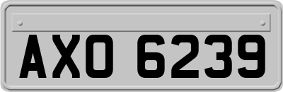 AXO6239