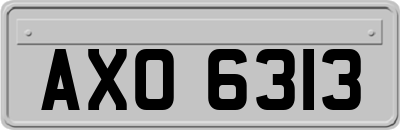 AXO6313