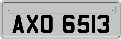 AXO6513