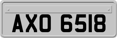 AXO6518