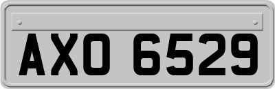 AXO6529