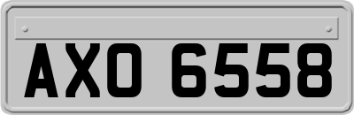 AXO6558