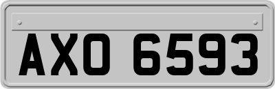 AXO6593
