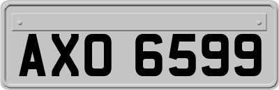 AXO6599