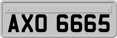 AXO6665