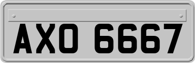 AXO6667