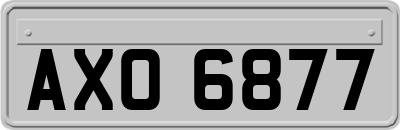AXO6877