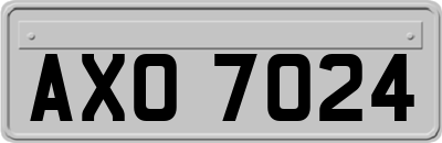 AXO7024