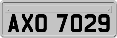 AXO7029