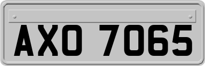 AXO7065