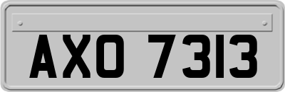 AXO7313