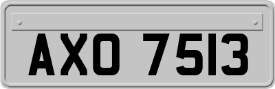 AXO7513