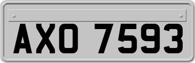 AXO7593