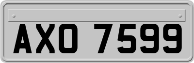 AXO7599