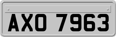 AXO7963