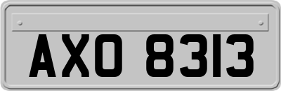AXO8313