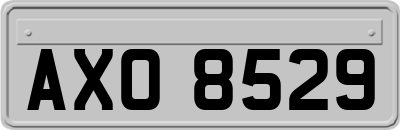 AXO8529