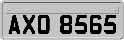 AXO8565