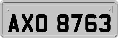 AXO8763