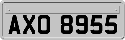 AXO8955