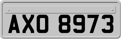 AXO8973