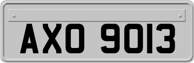 AXO9013