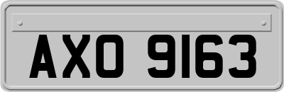 AXO9163