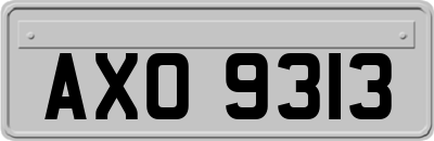 AXO9313