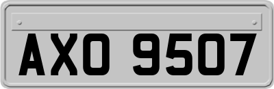 AXO9507