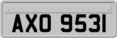 AXO9531
